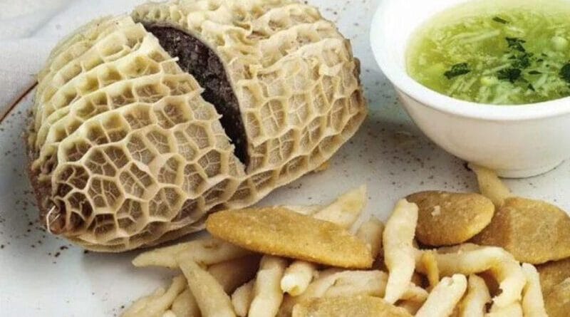 Богатство традиций чеченской кухни: история и современность