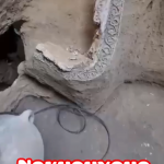 СЕНСАЦИОННАЯ НОВОСТЬ ДЛЯ НОХЧО НАРОДА!