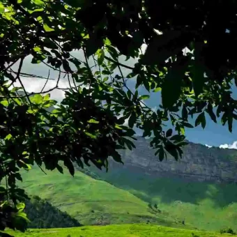 Развитие горных районов Чечни: особое внимание историческим территориям Галанчожа