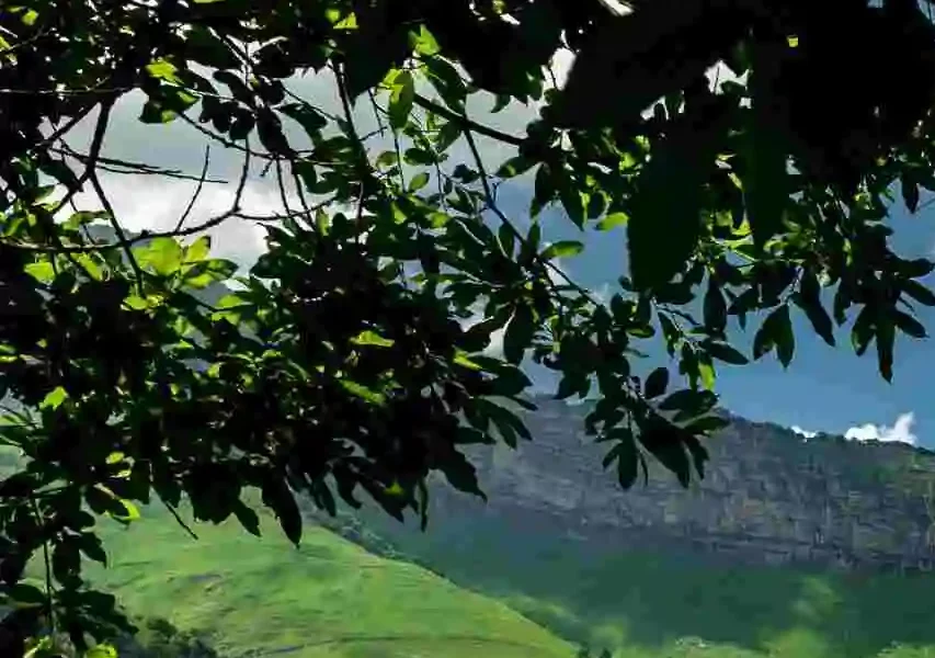 Развитие горных районов Чечни: особое внимание историческим территориям Галанчожа